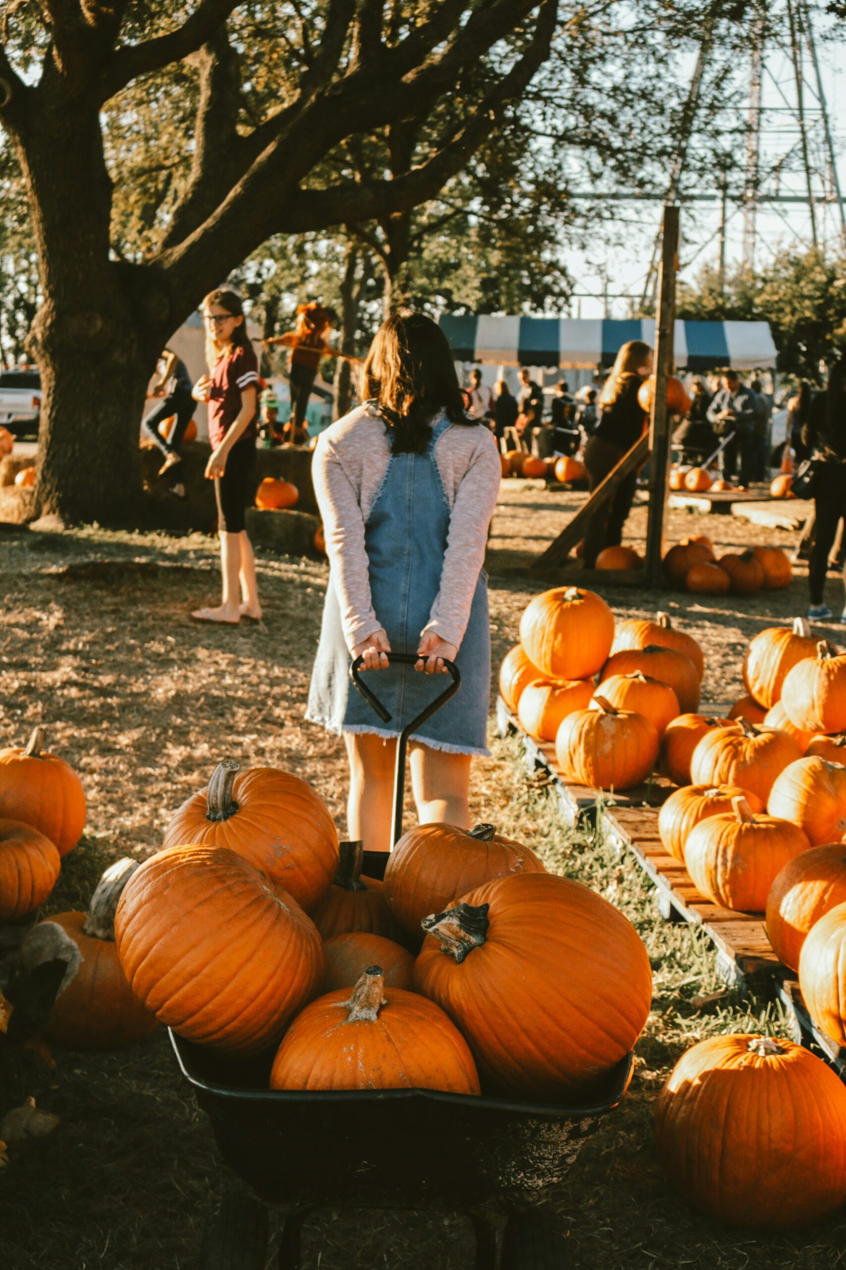 little girl pulling wagon at a pumpkin patch in cedar rapids
